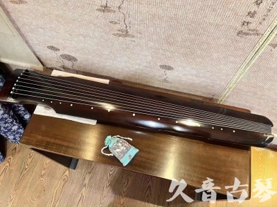 两江新区●久音古琴  ●今日推荐20231008  [高级演奏仲尼式]